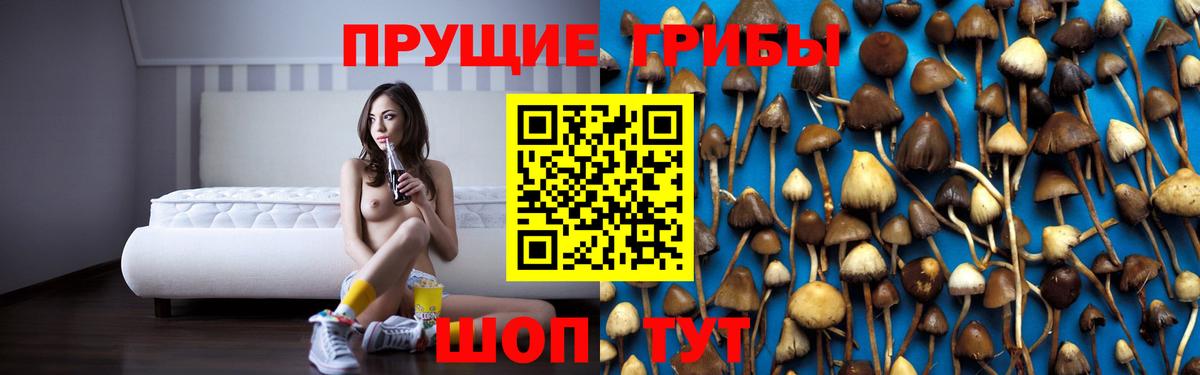 Псилоцибиновые грибы Psilocybine cubensis Нижний Новгород