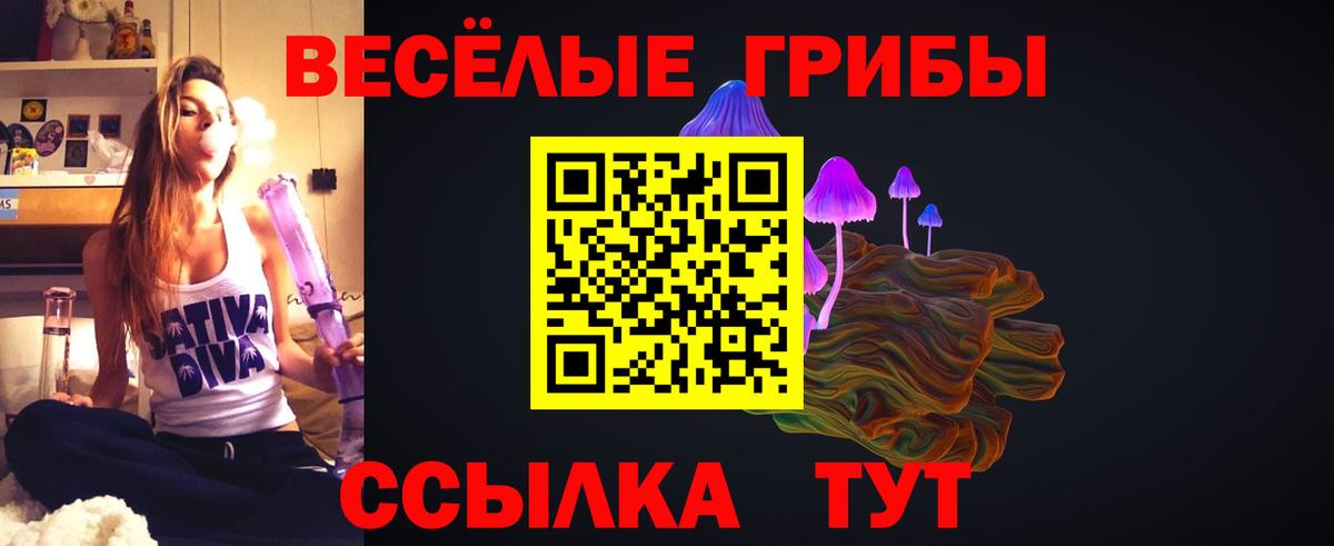 Галлюциногенные грибы мухоморы  Вход с VPN  Нижний Новгород 